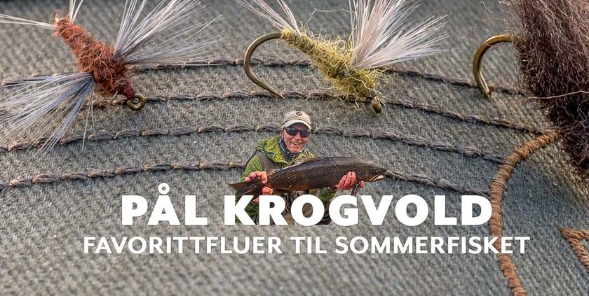 Pål Krogvold