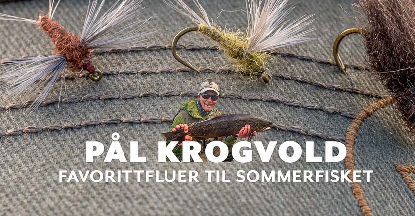 Pål Krogvold