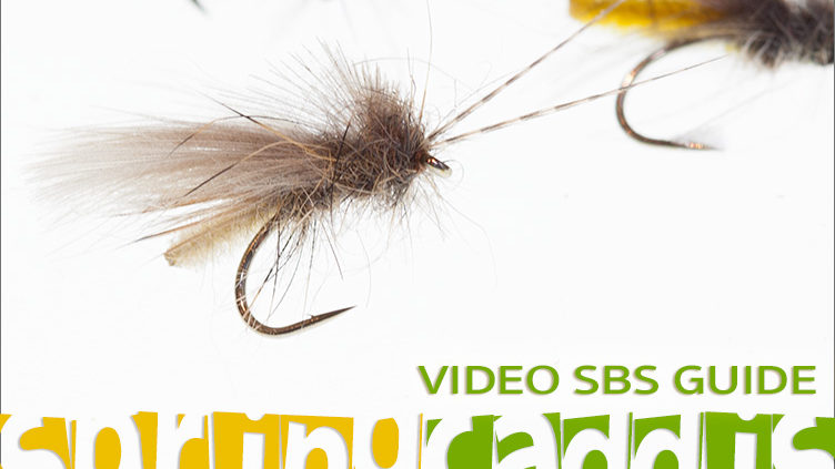 Step-by-Step Detached Body Caddis