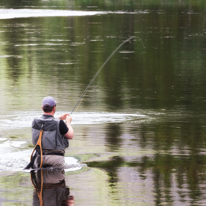 Flyfishing trout