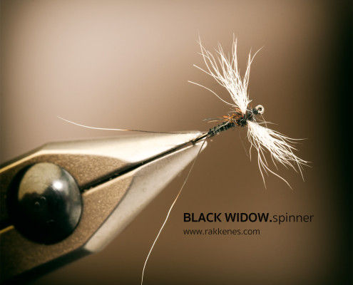 Spent Spinner Black Widow