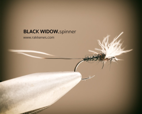 Spent Spinner Black Widow
