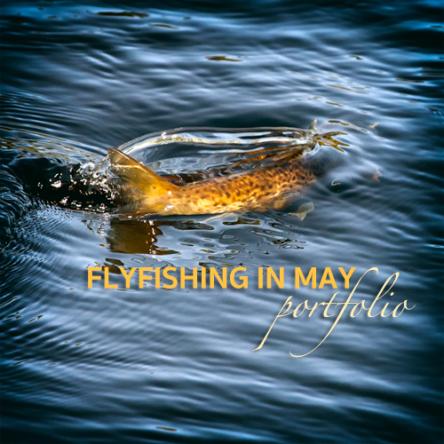 Flyfishing in May