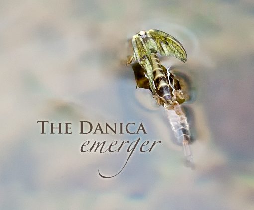 Danica Emerger