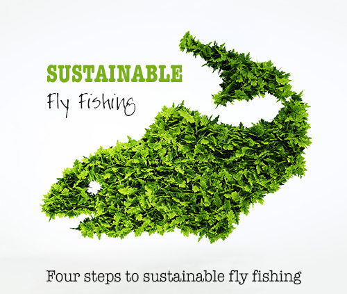 Sustainable Fly Fishing