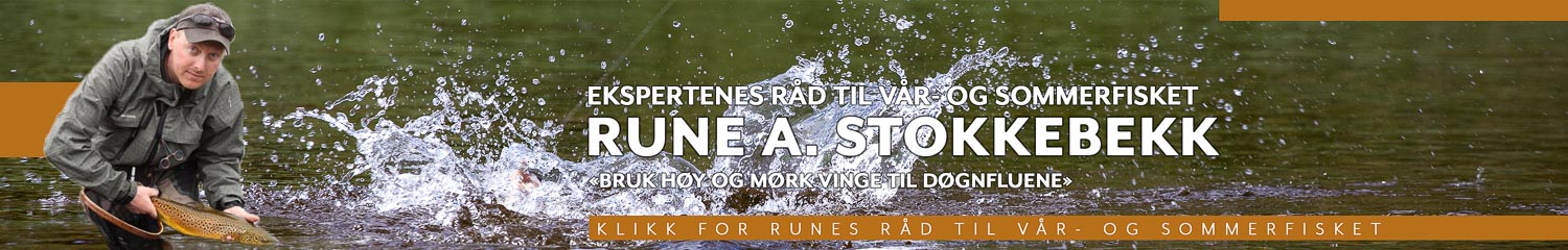 Rune Stokkebekk
